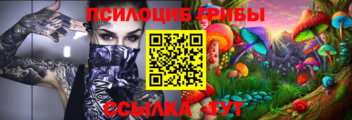 Галлюциногенные грибы прущие грибы Кизилюрт